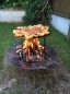 Preview: Petromax Grill- und Feuerschale fs 56
